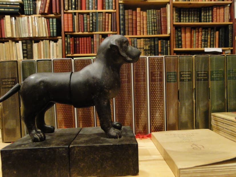 Photo de mise en avant de Librairie antimoine