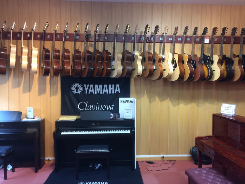 Photo de mise en avant de Mourlet Musique