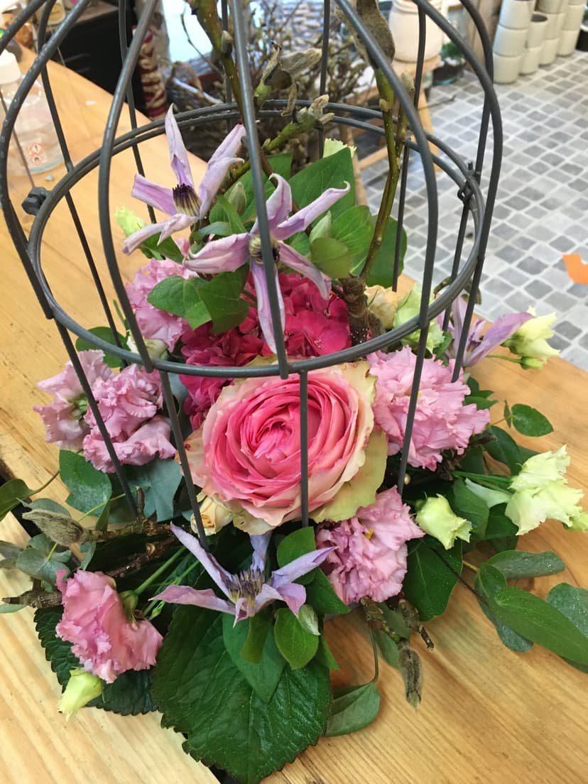 Photo de mise en avant de Rêve d’Orchidée