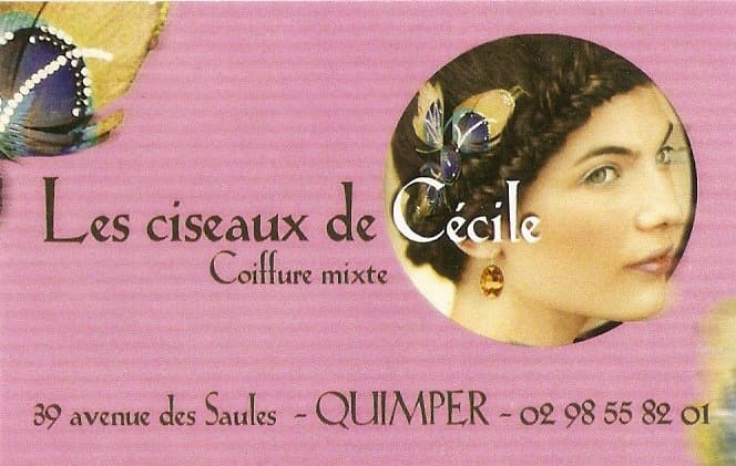 Photo de mise en avant de Les ciseaux de Cécile